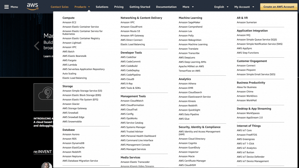 aws hosting options