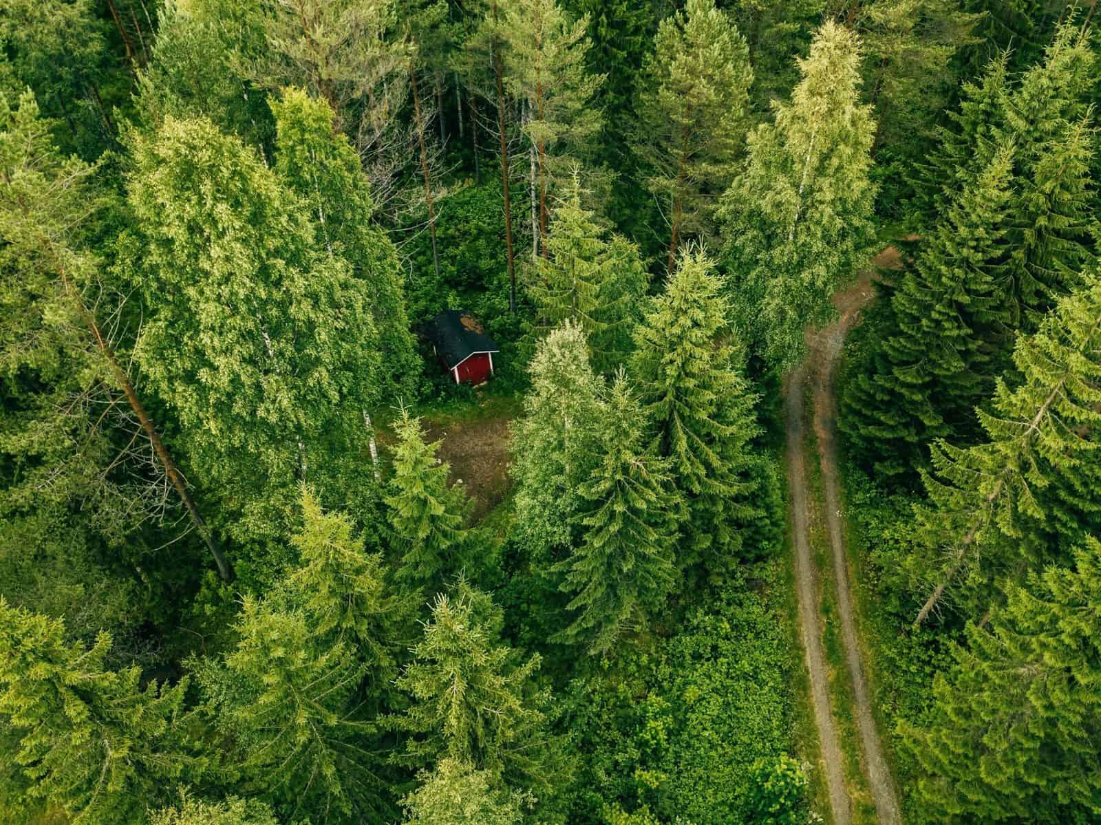 Aerial view of the road through the spruce forest. red cabin in the forest in Finland